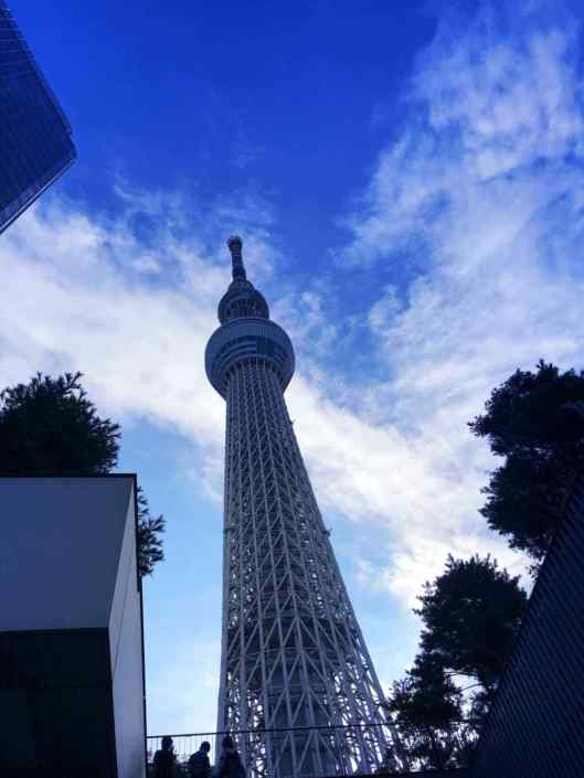 Tokyo (Giappone) – Sky Tree ®( Stefano Sartoris )