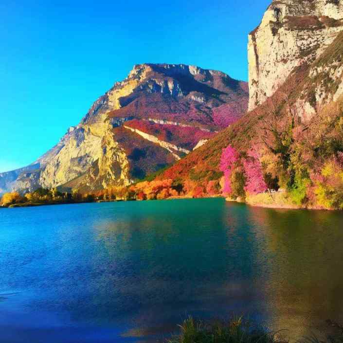 I colori dell’iride ❣? ®( Stefano Sartoris )