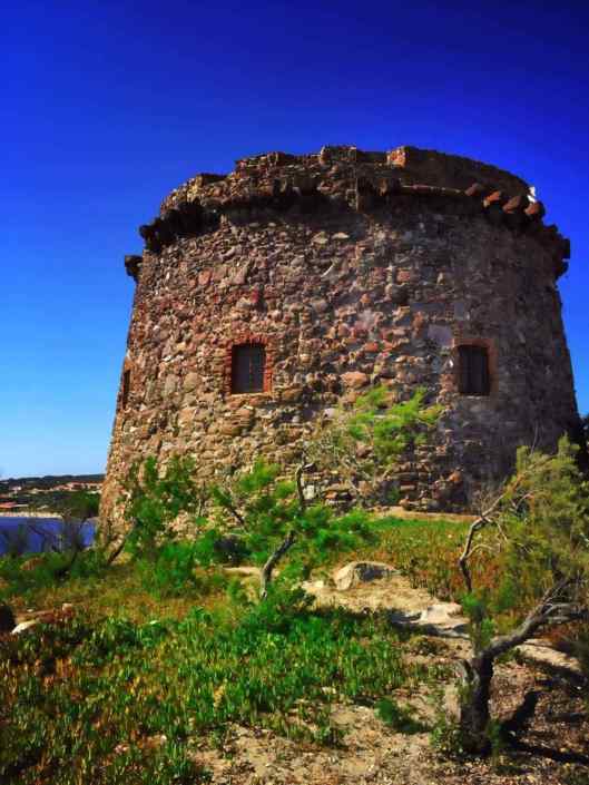 Arrocco di torre ®( Stefano Sartoris )