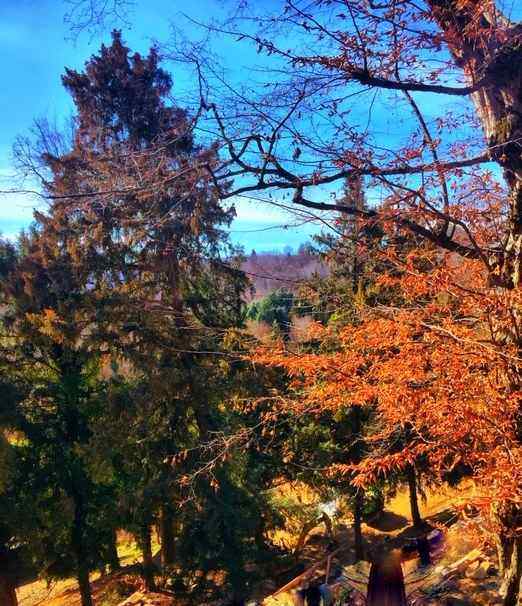 Un nuovo autunno ❣ ®( Stefano Sartoris )