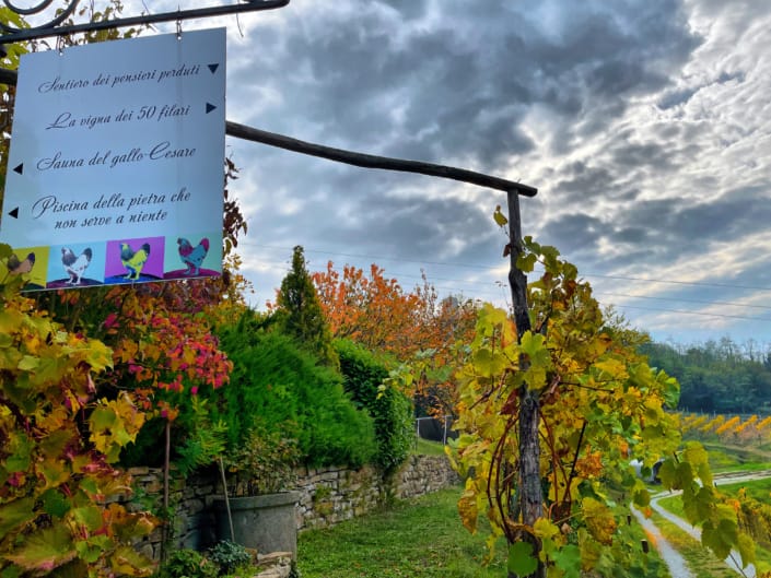 Sentieri di vita ®( Stefano Sartoris )