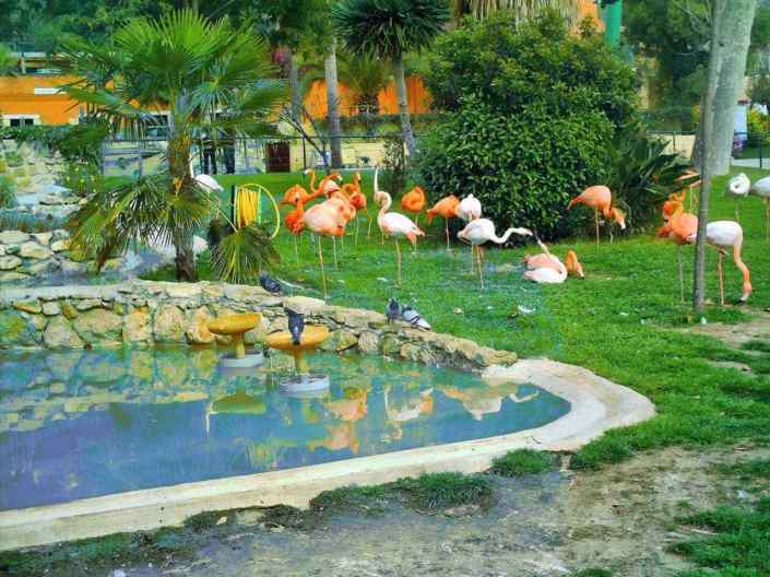Lisbona (Portogallo) – Giardino zoologico ®( Stefano Sartoris )