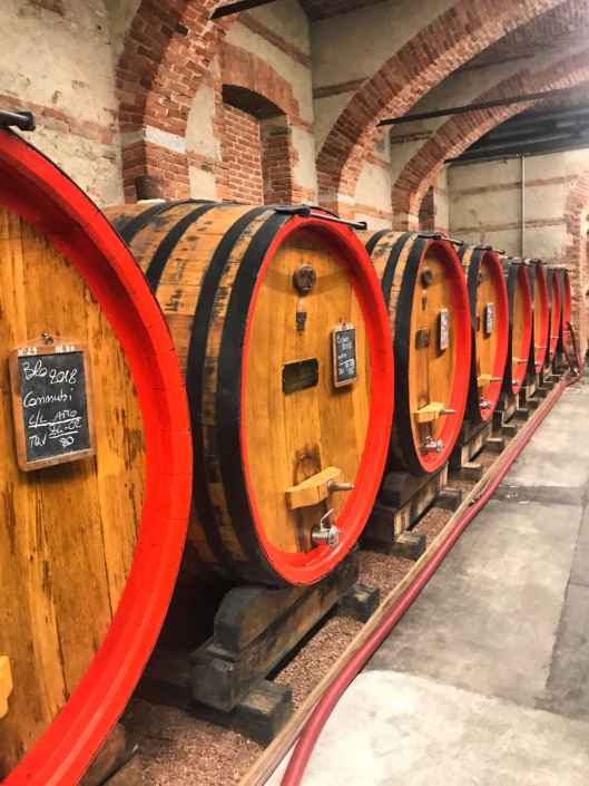 Il profumo degli anni a venire ❣®( Stefano Sartoris )