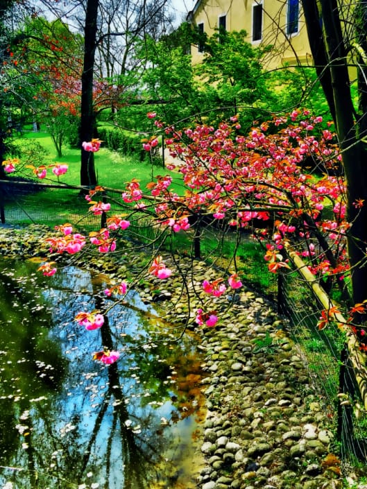 Colorata come la natura ❤ ®( Stefano Sartoris )