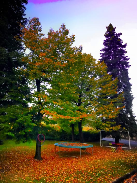 Bei colori…..illusioni d’autunno ???®( Stefano Sartoris )