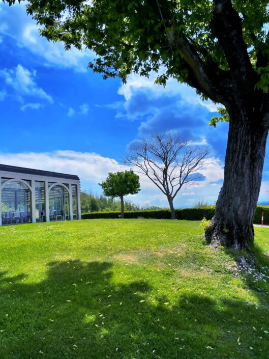 Relais Borgo del Gallo (Acqui Terme) ❤ ®( Stefano Sartoris )