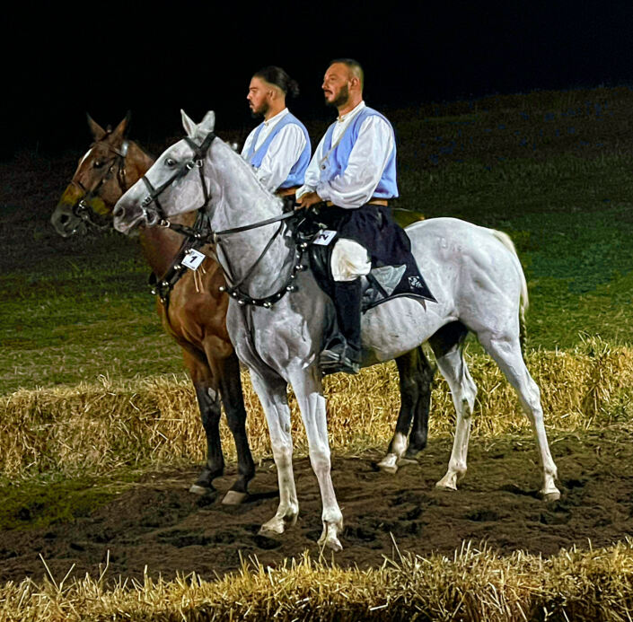 Caddos……bellezza senza vanità ♥🐴 ®( Stefano Sartoris )
