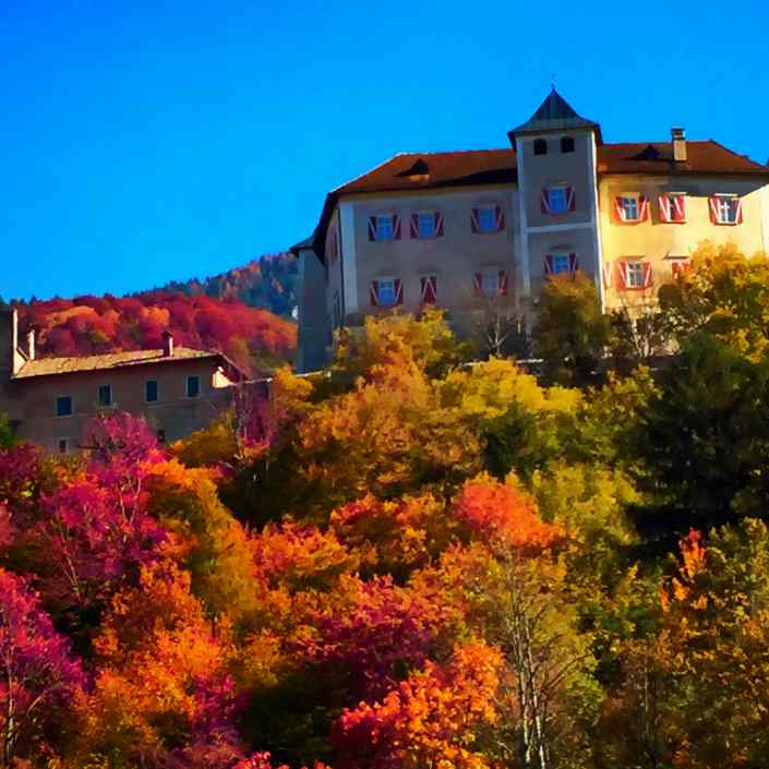 Sfumature autunnali ♥️ – #TrentinoAltoAdige #zonarossa #aitempidelCovid-19 #glialtrisiamonoi ?®( Stefano Sartoris )