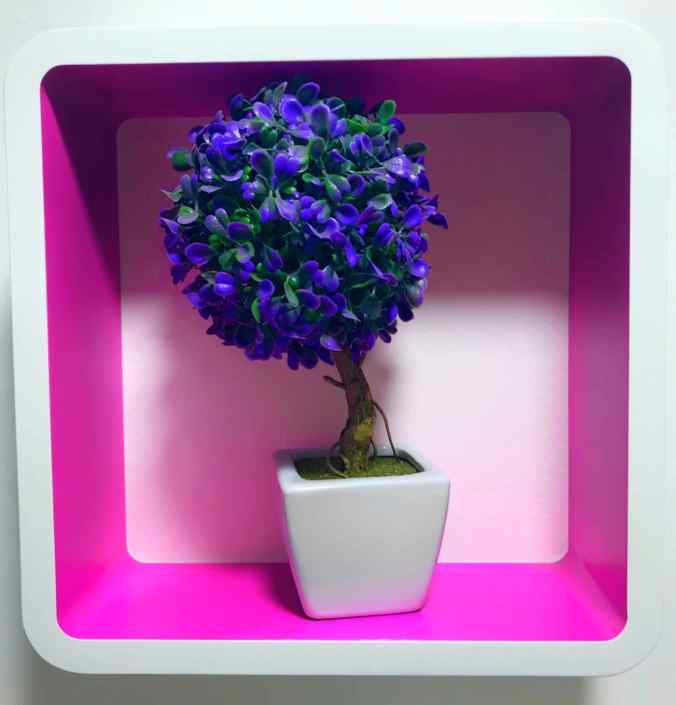 Piccoli colori ®( Stefano Sartoris )