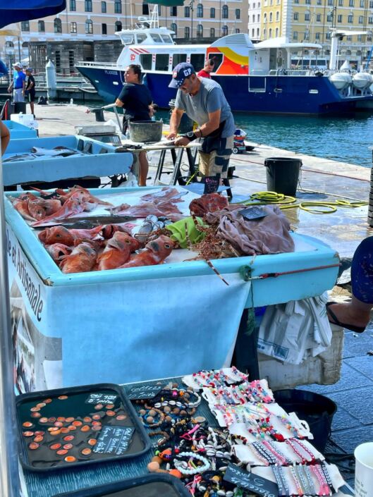 Oui 🤩🤩😜🐟🐠🦞 ®( Stefano Sartoris )