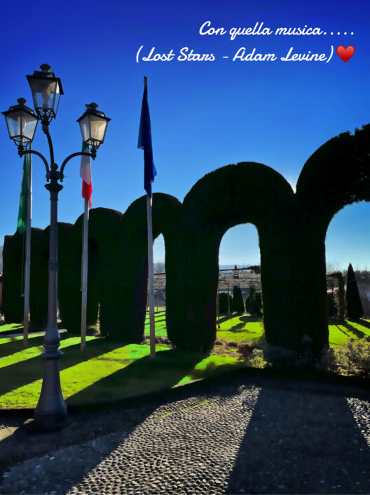 Quella musica…….. ❤ ®( Stefano Sartoris )